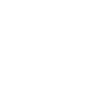 JNIC Logo