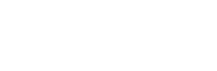 Netsoft Logo